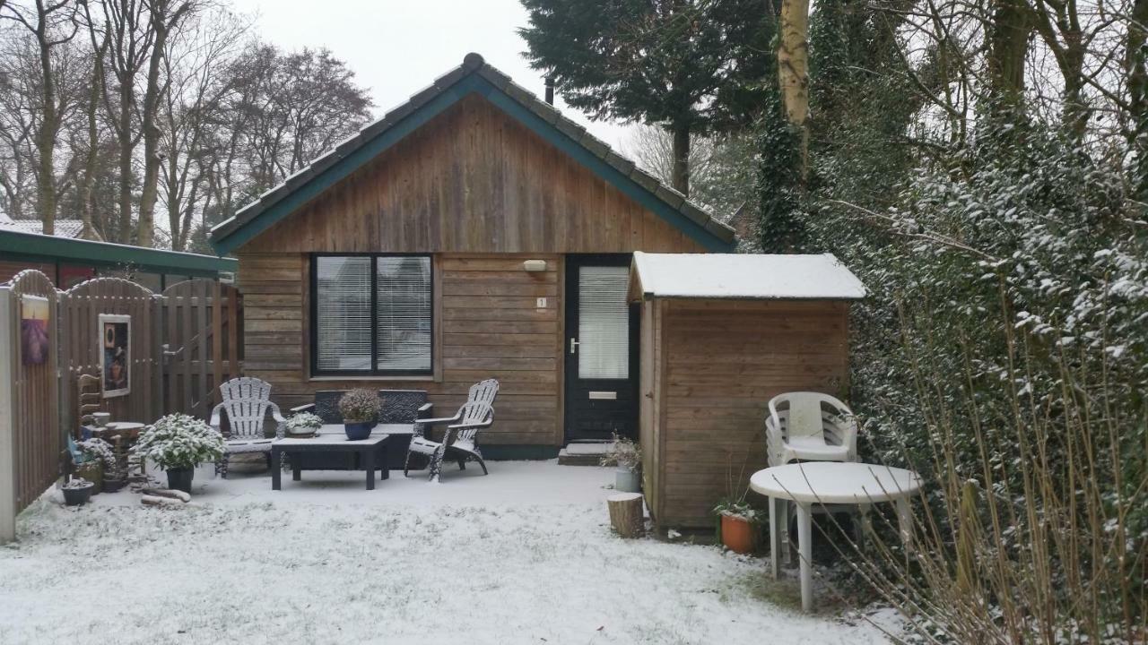 Vakantiehuis Duin Bos en Zee Schoorl Exterior foto